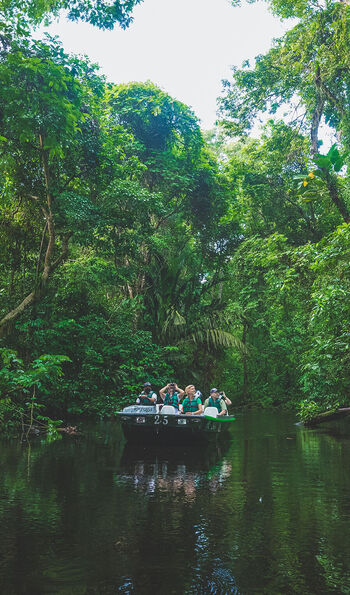 Boat tour from Tortuga Lodge