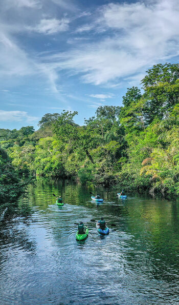 Kayaking in Tortuguero National Park