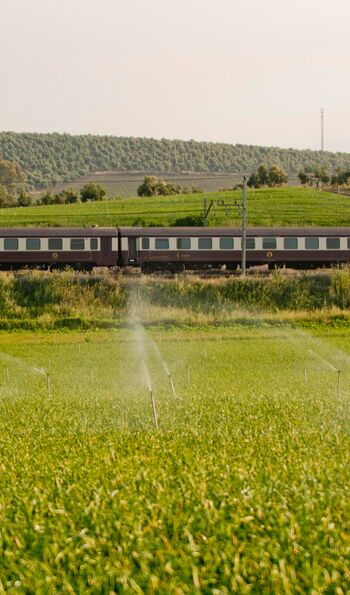 Al Andalus train