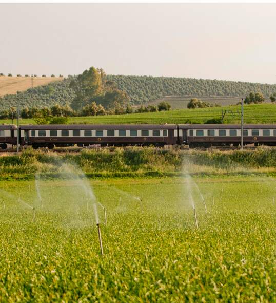 Al Andalus train in Spain with vineyards in the background and farmland in the foreground