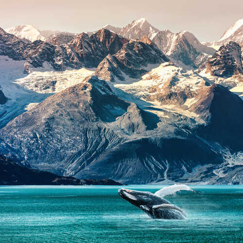 Great Escapes: holiday offers & inspiration