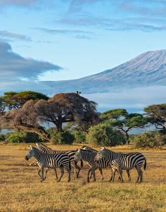 Amboseli, Kenya