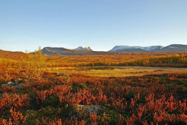 Autumn in Abisko, Swedish Lapland Autumn in Abisko, Swedish Lapland