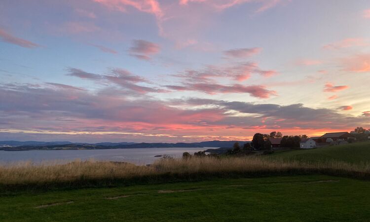 Just back from: Trøndelag, Norway