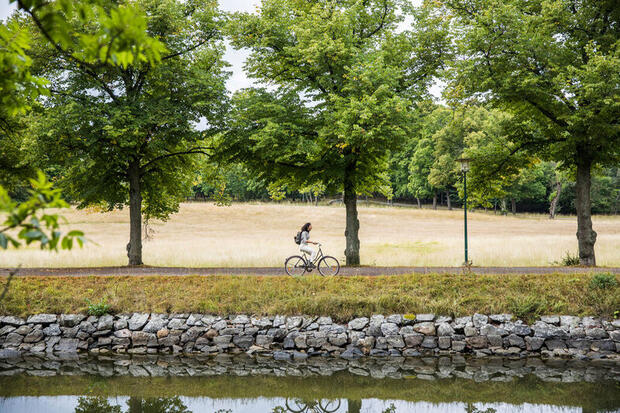 Image of cyclist cycling along canal