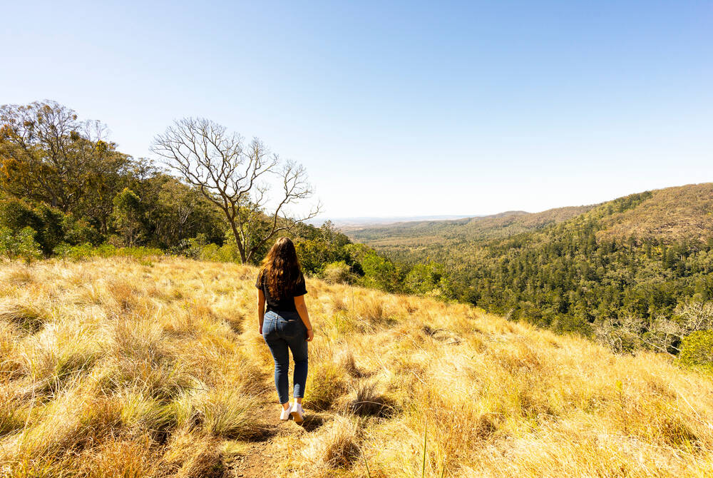 Bunyip Mountains