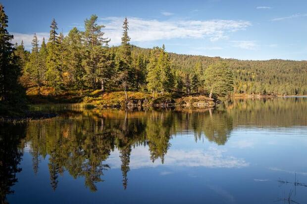 Bymarka nature reserve near Trondheim, Norway