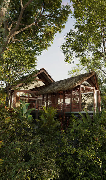 Amor Arenal, Costa Rica