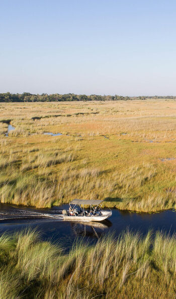 Camp Moremi, Okavango Delta, Botswana