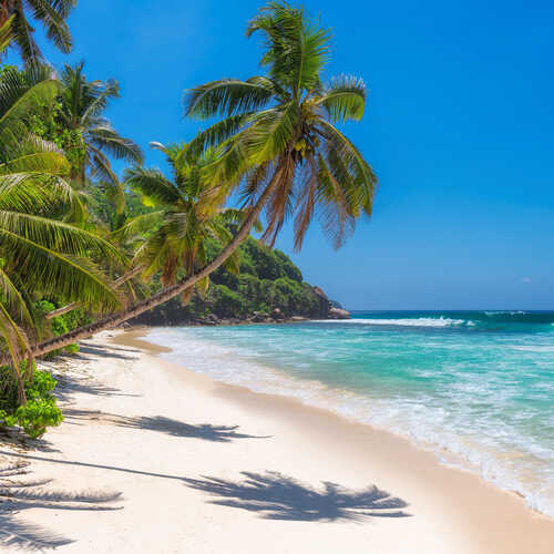 Save up to 15% on Caribbean cruises with Seabourn