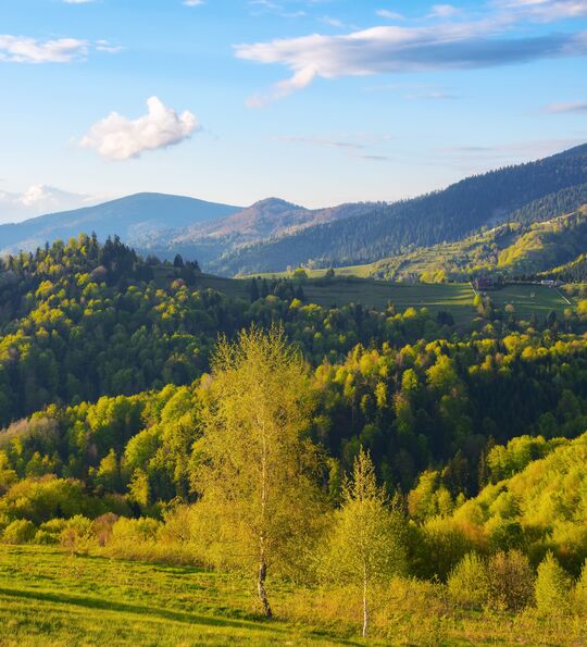Carpathian Mountains