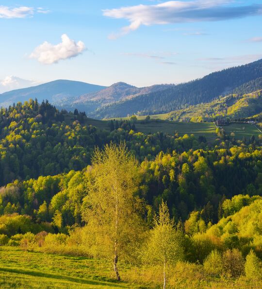 Carpathian Mountains, Romania