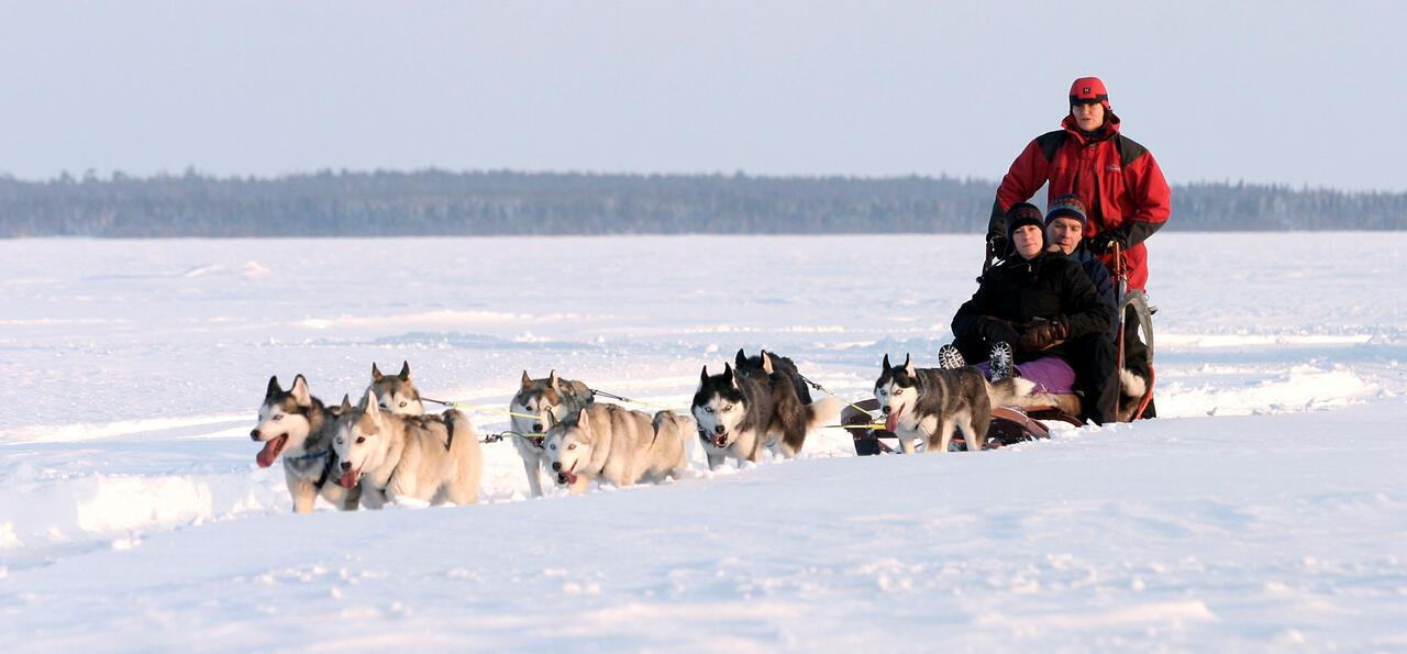 Husky sledding at Brandon Lodge