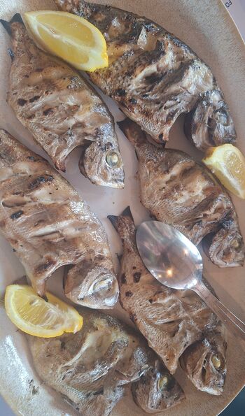 Catch of the day at Farol Restaurant in Arr&aacute;bida