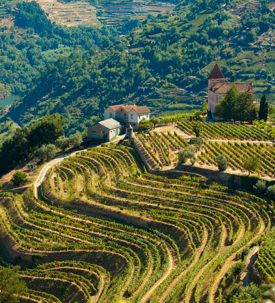 Douro Valley
