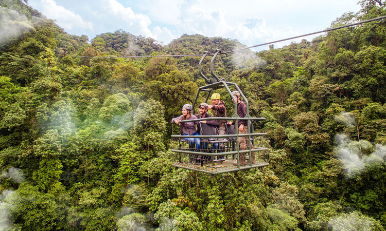 Dragonfly treetop canopy gondola at Mashpi Lodge, Ecuador