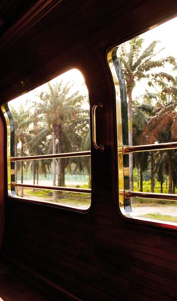 View of palm trees from the Eastern & Oriental Express