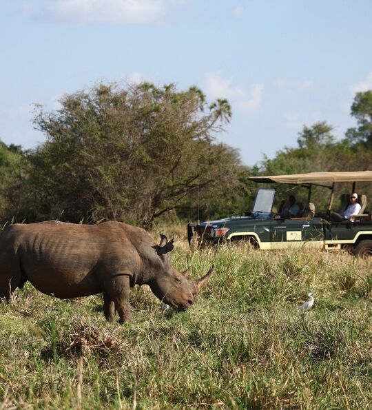 Game drive &ndash; rhino sanctuary