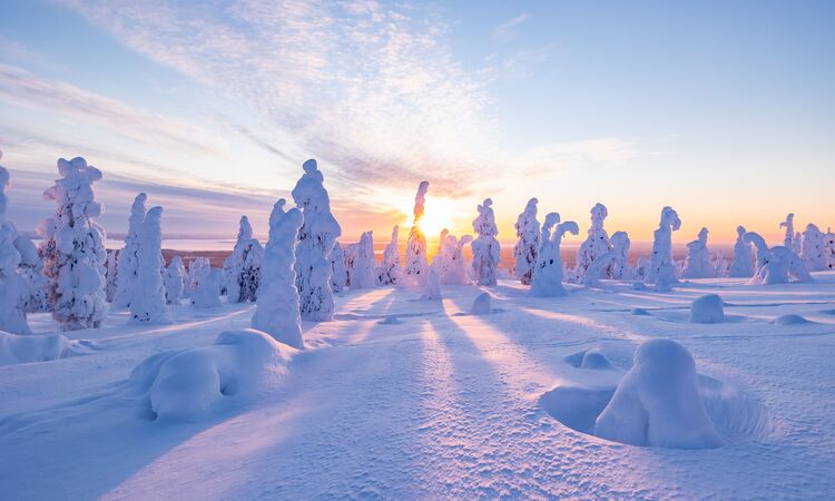 When is the best time to visit Finnish Lapland? An expert's guide