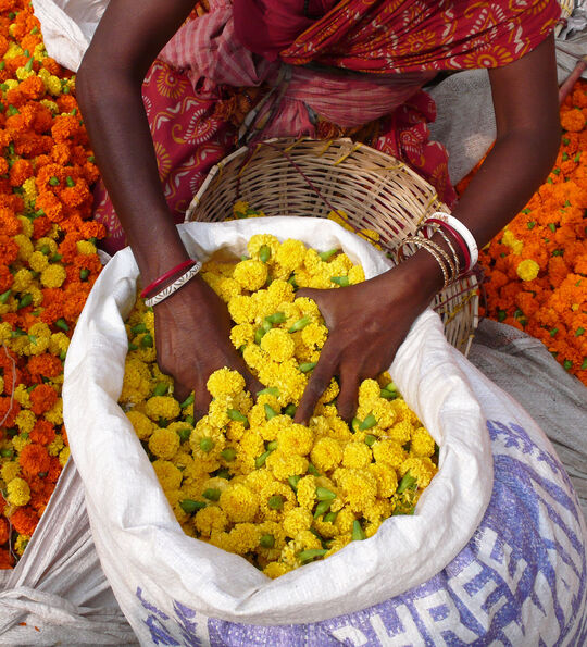 Flower market in Kolkata, India