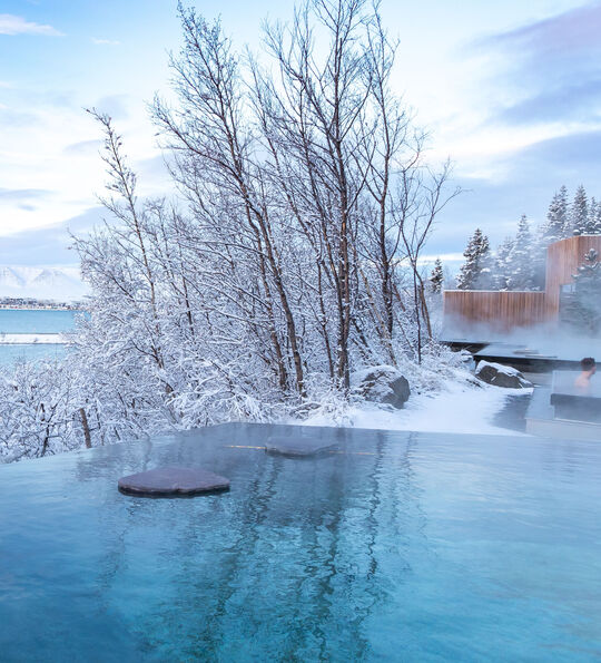 Forest Lagoon (Credit: Visit North Iceland)