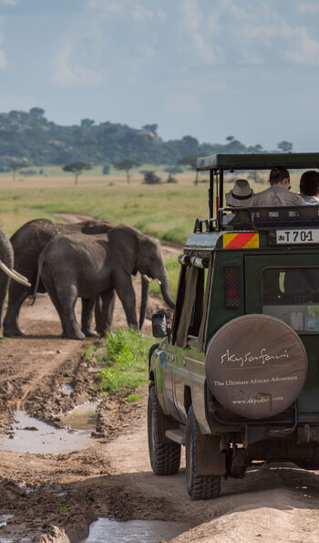 Game drive, Elewana Serengeti Pioneer Camp