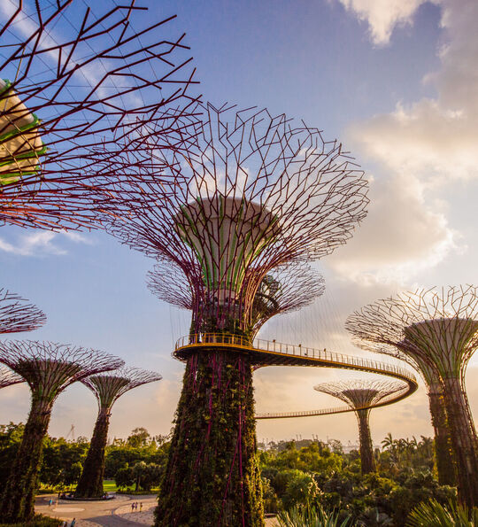 Image of supertrees at Gardens by the Bay, Singapore