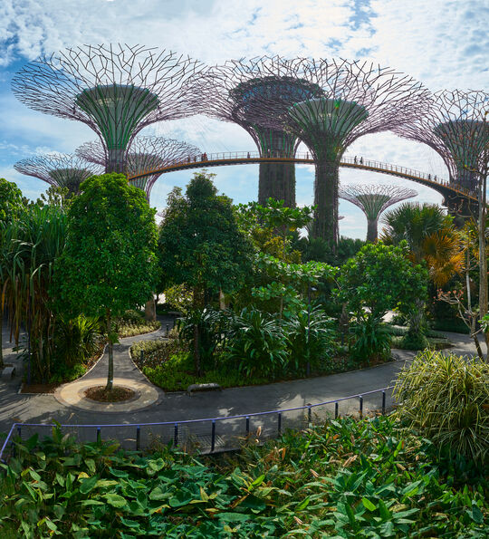 Gardens by the bay, Singapore