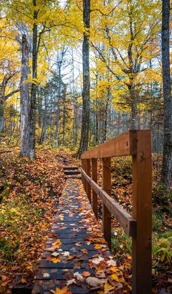 Hiking in Saguenay Fjord National Park
