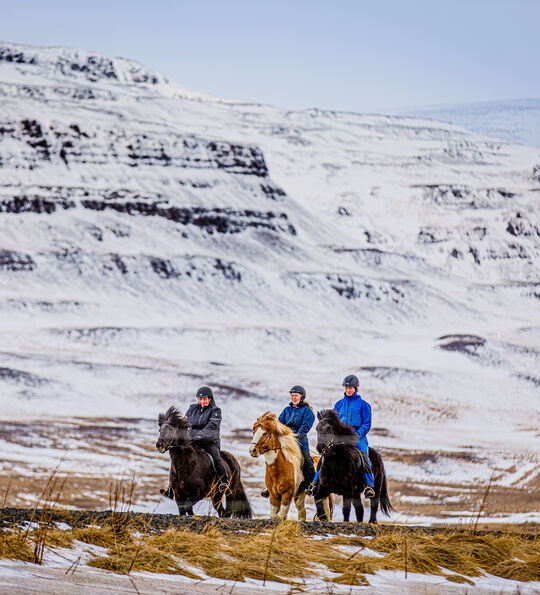 Horseback riding in North Iceland (Credit: Visit North Iceland)