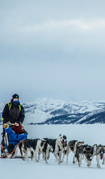 Husky sledding at Snow Resort Kirkenes