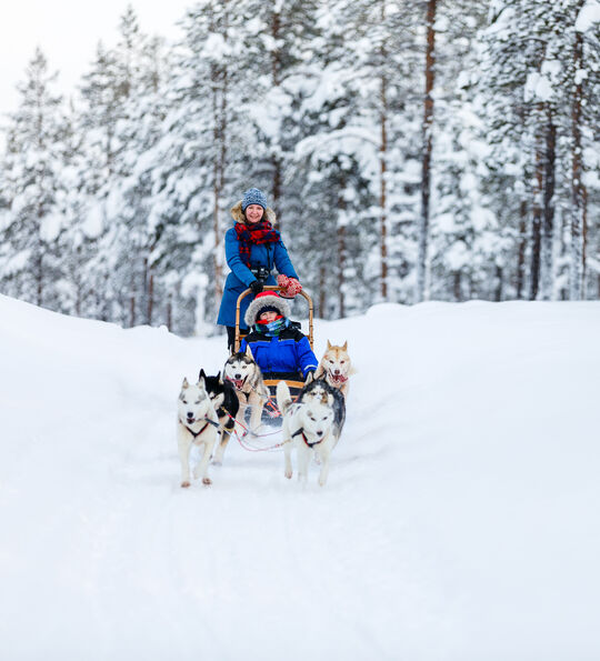 Husky sledding, Finnish Lapland