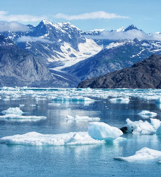 Icebergs near Valdez, Alaska