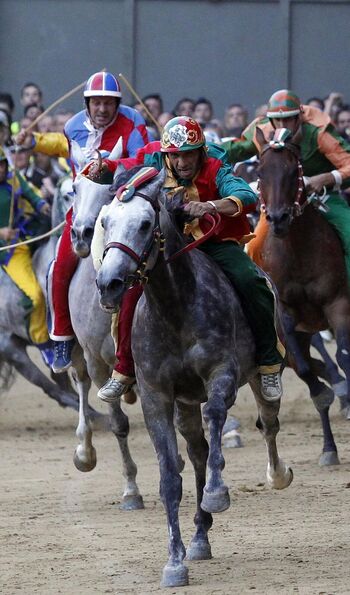 Il Palio di Siena