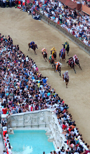 Il Palio di Siena