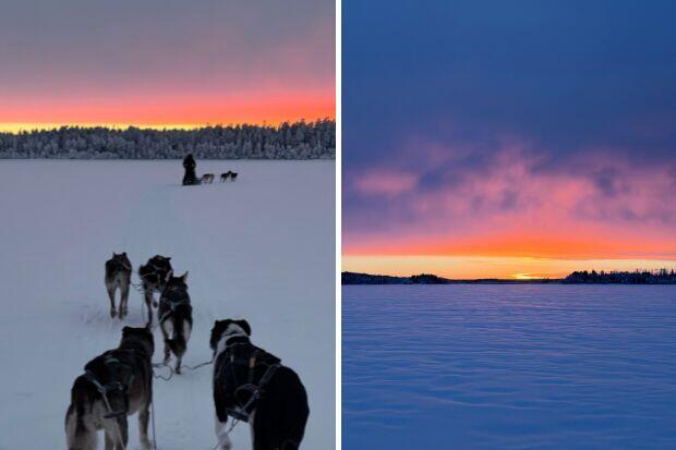 Dog sledding on the frozen sea in Swedish Lapland