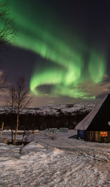 Northern Lights at Snow Resort Kirkenes