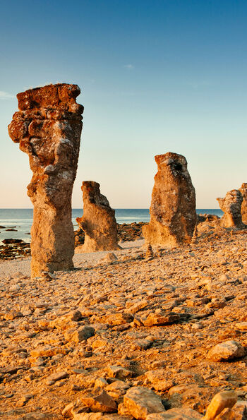 Limestone sea stacks, Gotland
