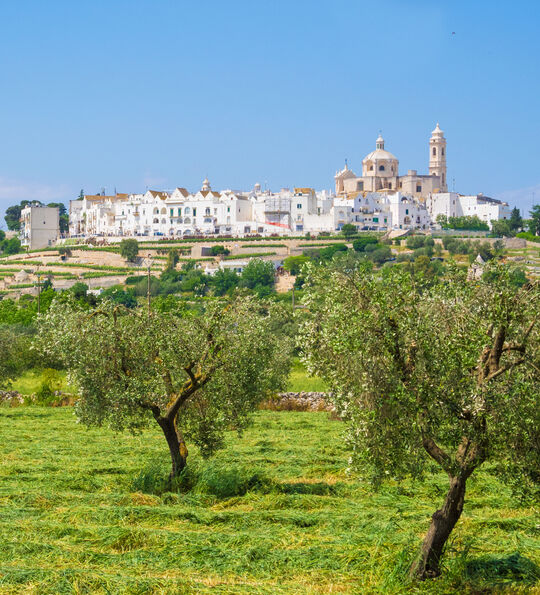The gorgeous white town of Locorotondo in the Puglian province of Bari, chosen among the top 10 most beautiful villages in Southern Italy