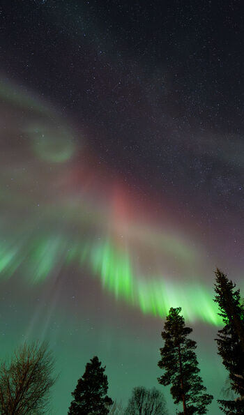 Northern Lights at Loggers Lodge