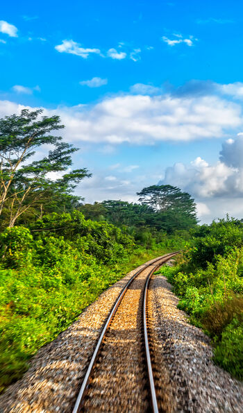 Image of lush train tracks through Malaysian jungle