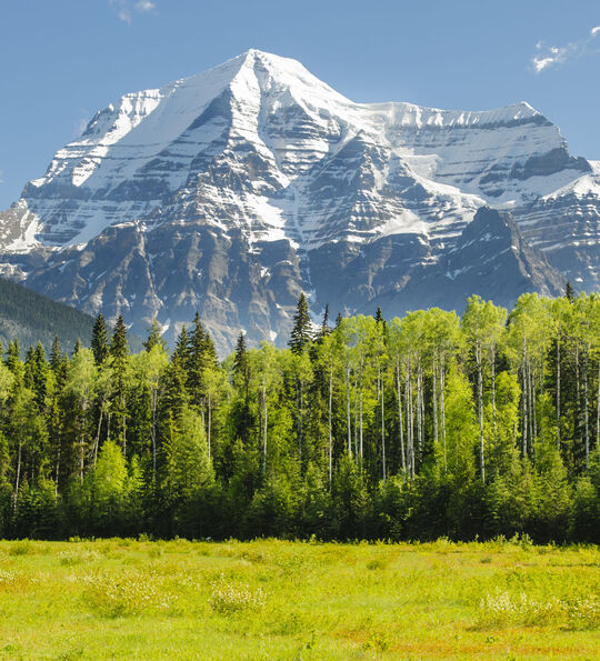 Mount Robson