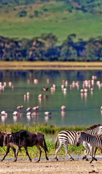 Ngorongoro Crater, Tanzania