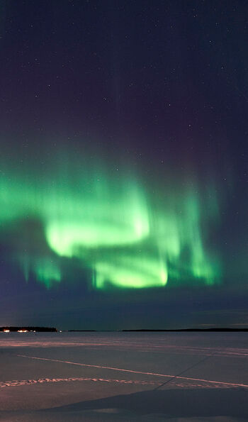 Northern Lights above the frozen sea