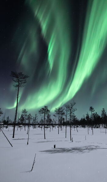 Northern Lights in Finnish Lapland