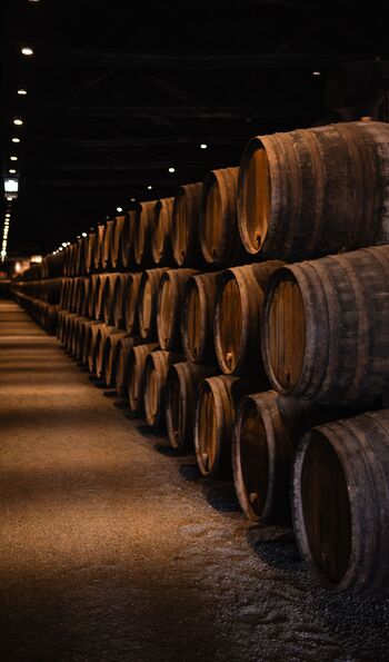Oak barrels in Douro Valley winery