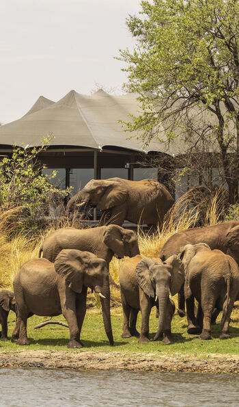 Old Drift Lodge, Zimbabwe