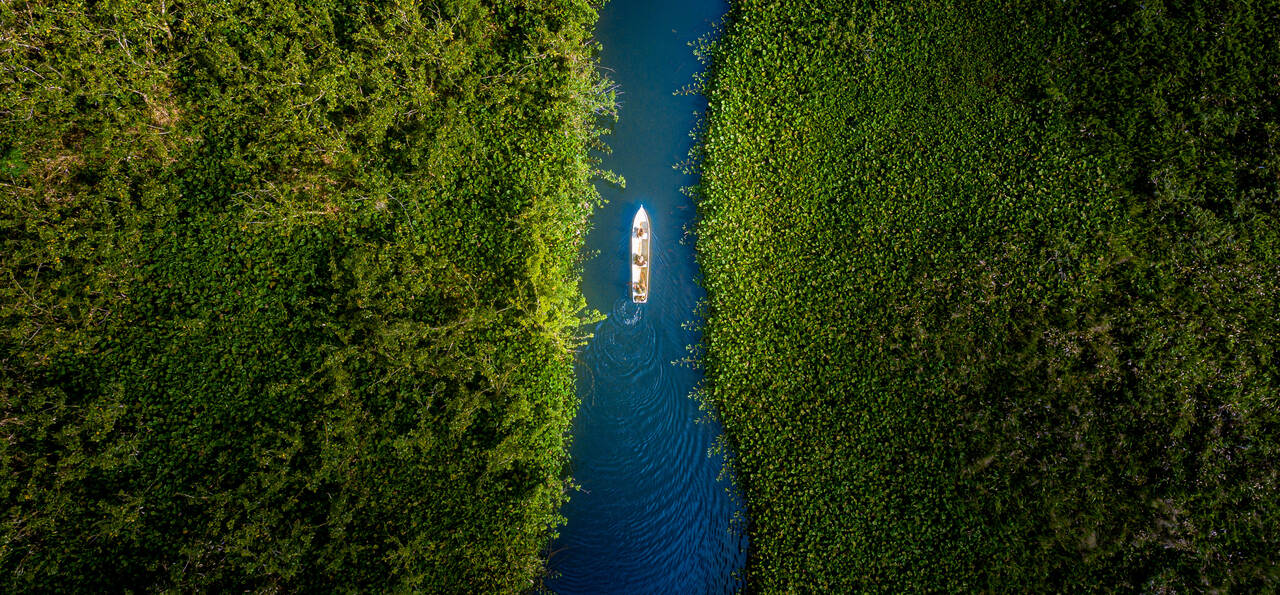 Aerial view of a small boat passing through mangroves in Osa Peninsula, Costa Rica