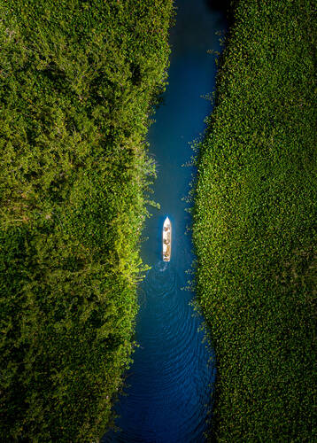 Aerial view of a small boat passing through mangroves in Osa Peninsula, Costa Rica