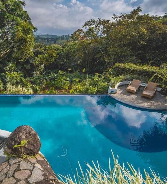 Pool with a view at Finca Rosa Blanca